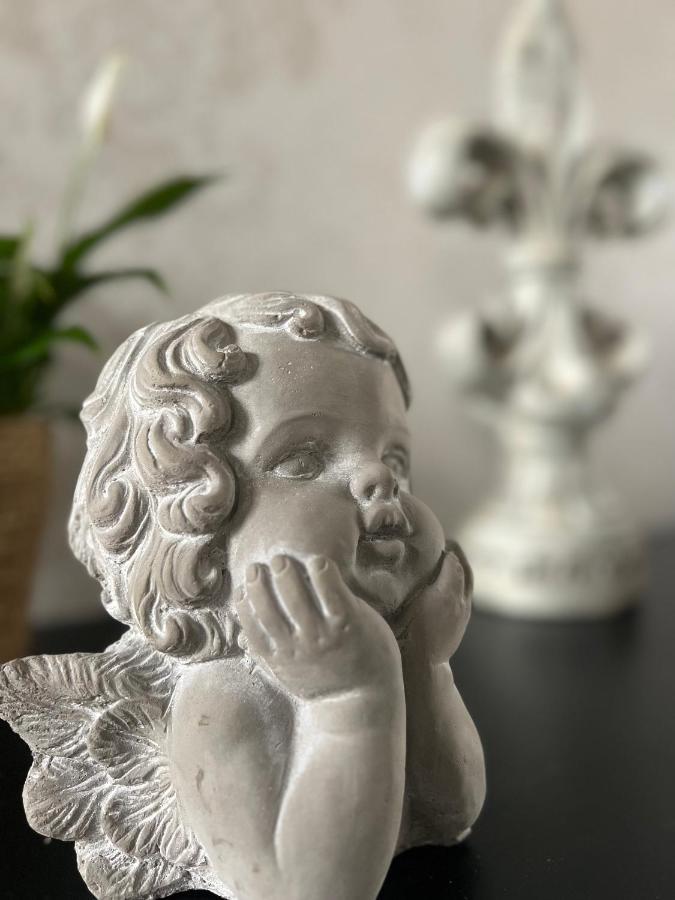 Domaine Des Anges Bed and Breakfast Avesnes-sur-Helpe Εξωτερικό φωτογραφία